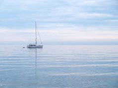 Fly High: The Ultimate Treetop Adventure Guide Fly High: The Ultimate Treetop Adventure Guide