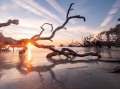 Melodic Memories: Family-Friendly Music & Culture Hotspots Melodic Memories: Family-Friendly Music & Culture Hotspots