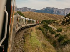 Fun for All: The Ultimate Family Sports Guide Fun for All: The Ultimate Family Sports Guide