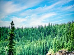 Chasing Ice: Unveiling the World’s Stunning Glaciers Chasing Ice: Unveiling the World’s Stunning Glaciers