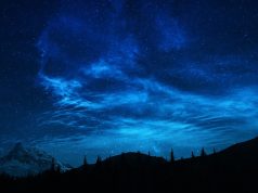 Nature’s Hidden Gems: Top Wildlife Watching Spots Nature’s Hidden Gems: Top Wildlife Watching Spots