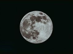 Anime Mania: Global Conventions & Festivals Anime Mania: Global Conventions & Festivals