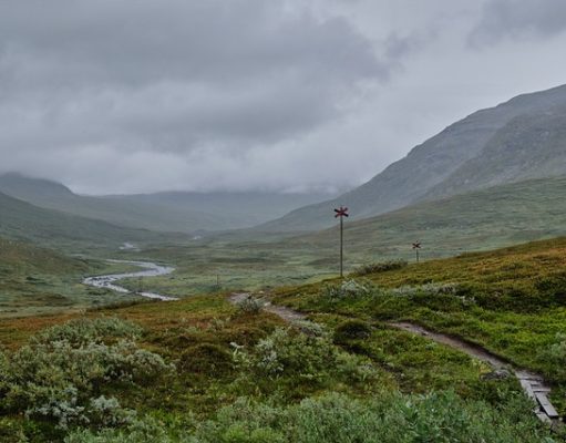 Paddle Your Way to Adventure: Top Kayaking & Canoeing Destinations Paddle Your Way to Adventure: Top Kayaking & Canoeing Destinations