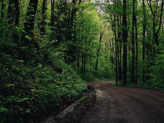 Riding the Waves: Best Spots for Wakeboarding and Waterskiing Riding the Waves: Best Spots for Wakeboarding and Waterskiing