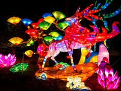 Thrill Seekers Unite: Discovering Extreme Sports Events Thrill Seekers Unite: Discovering Extreme Sports Events