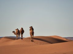 Uncovering Family Fun: Top Archaeological Sites Uncovering Family Fun: Top Archaeological Sites