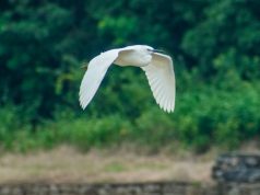 Gear Up for Adventure: Choosing the Perfect Travel Accessories Gear Up for Adventure: Choosing the Perfect Travel Accessories