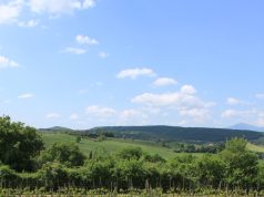 Safe Travels: Navigating Allergies Abroad Safe Travels: Navigating Allergies Abroad