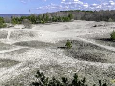 Thrills for All: Top Family-Friendly Parks Thrills for All: Top Family-Friendly Parks