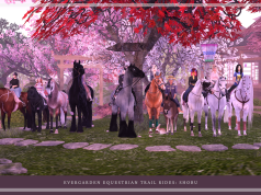 Scaling New Heights: World’s Best Via Ferrata Routes Scaling New Heights: World’s Best Via Ferrata Routes