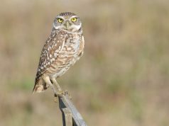 Fly in Style: Insider Tips for Airport Lounge Access Fly in Style: Insider Tips for Airport Lounge Access