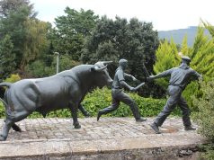 High-Flying Fun: Exploring Global Kite Festivals High-Flying Fun: Exploring Global Kite Festivals