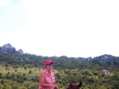 Roaming with the Wild: Top Global Animal Adventures Roaming with the Wild: Top Global Animal Adventures