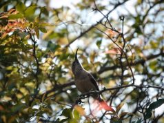 Virtual Adventures for the Whole Family: Explore Immersive VR Attractions Virtual Adventures for the Whole Family: Explore Immersive VR Attractions