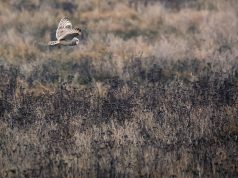 Street Eats: Best Food Truck Festivals & Events Street Eats: Best Food Truck Festivals & Events