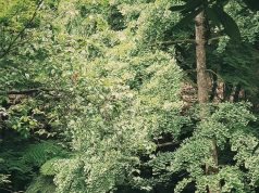 Thrilling Circus Fun for the Whole Family Thrilling Circus Fun for the Whole Family