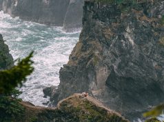 Pedal Power: Best Family-Friendly Bike Tours Pedal Power: Best Family-Friendly Bike Tours