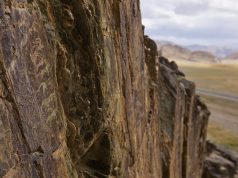 Global Art Odyssey: Top Biennials & Exhibitions Global Art Odyssey: Top Biennials & Exhibitions