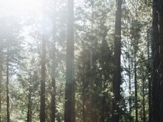 Putt Your Way to Family Fun: Top Mini Golf Courses Worldwide Putt Your Way to Family Fun: Top Mini Golf Courses Worldwide