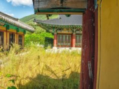 Flower Power: Exploring International Garden Festivals Flower Power: Exploring International Garden Festivals