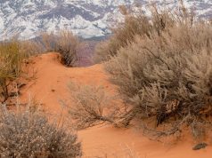 Journey to Cultural Treasures: World Heritage Sites Journey to Cultural Treasures: World Heritage Sites