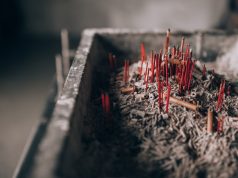 Rails to Adventure: Expert Tips for Train Travel Rails to Adventure: Expert Tips for Train Travel