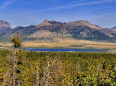 Insuring Your Adventures: A Guide to Travel Insurance Insuring Your Adventures: A Guide to Travel Insurance