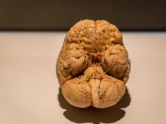 Nature’s Haven: Top Cities for Accessible Parks Nature’s Haven: Top Cities for Accessible Parks