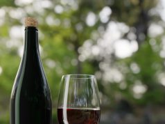 Splash into Fun: Top Family Water Parks! Splash into Fun: Top Family Water Parks!