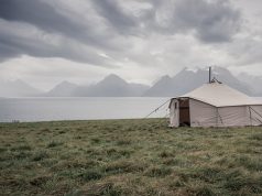 Glittering Nights: Top Bioluminescent Destinations Glittering Nights: Top Bioluminescent Destinations