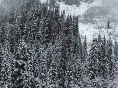 River Adventures: Accessible Destinations for Boat Tours River Adventures: Accessible Destinations for Boat Tours