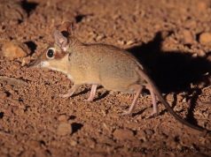 Soulful Escapes: Crafting Your Perfect Wellness Retreat Soulful Escapes: Crafting Your Perfect Wellness Retreat