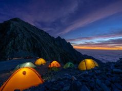 Branching Out: Your Ultimate Canopy Tour & Tree Climbing Guide Branching Out: Your Ultimate Canopy Tour & Tree Climbing Guide