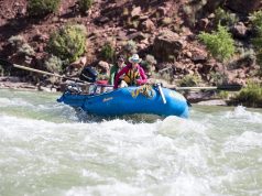 Mastering Currency Exchange: Tips to Save on Fees Mastering Currency Exchange: Tips to Save on Fees