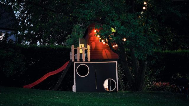 Wildlife Wonders: Family Adventures Await!