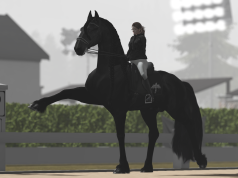 Surviving Turbulent Travels: Tips for Crisis-Proof Explorations Surviving Turbulent Travels: Tips for Crisis-Proof Explorations