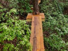 Smooth Sailing: Top Tips for Accessible Business Travel Smooth Sailing: Top Tips for Accessible Business Travel