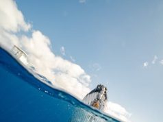 Mastering Solo Travel: Tips for a Memorable Journey Mastering Solo Travel: Tips for a Memorable Journey