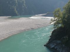 Surviving the Struggle: Overcoming Culture Shock and Homesickness Surviving the Struggle: Overcoming Culture Shock and Homesickness