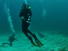 Fit on the Fly: Tips for Healthy Travel Fit on the Fly: Tips for Healthy Travel