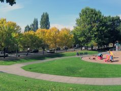 Rolling in Style: Top Accessible Transport Services Rolling in Style: Top Accessible Transport Services