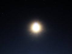 Vegan and Vegetarian Travel: Navigating Dietary Preferences Vegan and Vegetarian Travel: Navigating Dietary Preferences