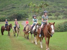 Fun for All Ages: Top Family-Friendly Cities Fun for All Ages: Top Family-Friendly Cities