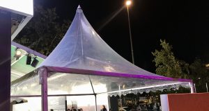 Wildly Wonderful: Exploring Top Nature Festivals Wildly Wonderful: Exploring Top Nature Festivals