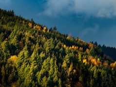 Global Giving: Your Ultimate Overseas Work & Volunteer Guide Global Giving: Your Ultimate Overseas Work & Volunteer Guide