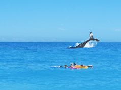 Masterpieces in Sand: The World’s Top Sculpture Festivals Masterpieces in Sand: The World’s Top Sculpture Festivals