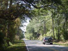 Family Fun for All: Top Accessible Destinations Family Fun for All: Top Accessible Destinations