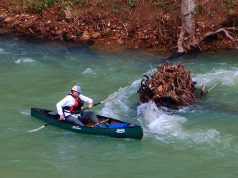 Fly High for Less: Mastering the Art of Finding Cheap Flights Fly High for Less: Mastering the Art of Finding Cheap Flights