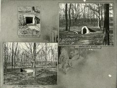 Journey to the Past: Best Prehistoric Sites and Cave Art Journey to the Past: Best Prehistoric Sites and Cave Art