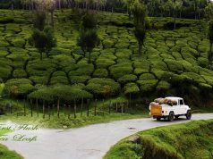 Fluent in No Time: Top Language Immersion Programs Fluent in No Time: Top Language Immersion Programs